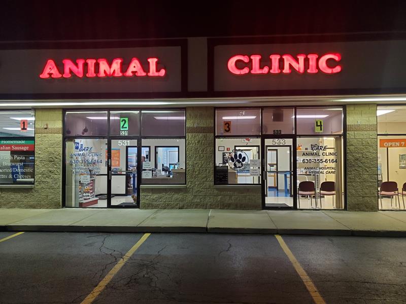 Care Animal Clinic Naperville, IL